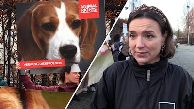 Demonstratie tegen vergunning voor 650.000 dierproeven