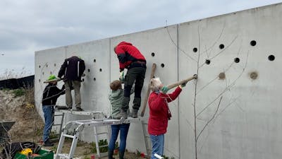 Vrijwilligers bouwen een zwaluwparadijs in Zeewolde