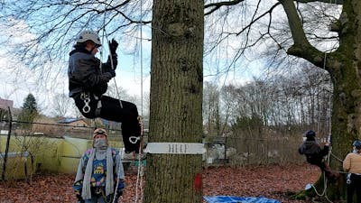 Klimaatactivisten oefenen boomklimmen in Nijmegen