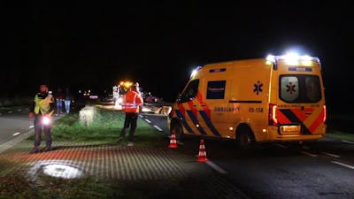 Twee paarden overleden bij ongeval in Weerselo