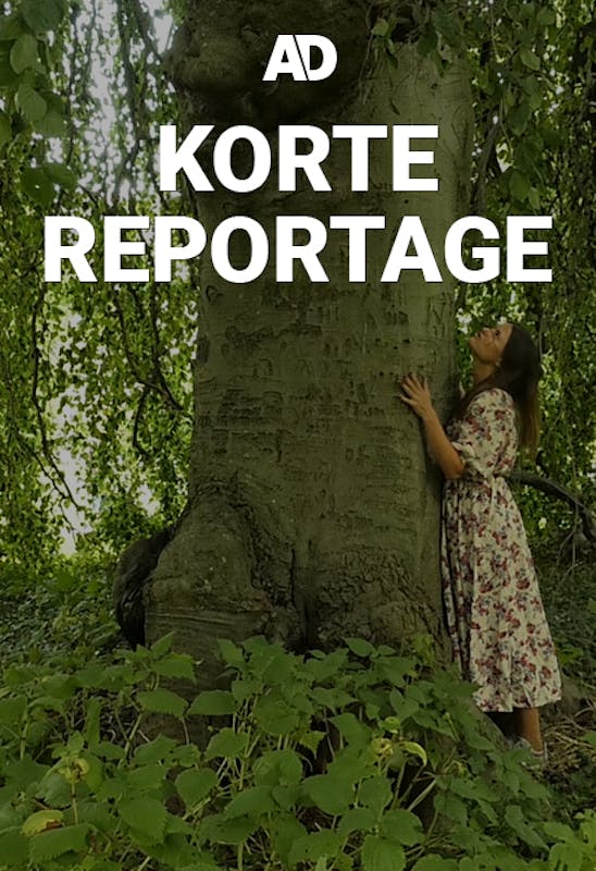 Korte Reportage