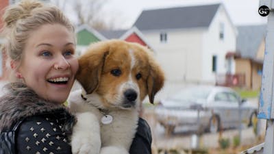 Hondenliefhebbers opgelet: deze films wil je zien