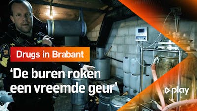 Politie rolt drugslab op in Brabant, zo ziet dat eruit [1/3]