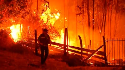 Aanhoudende bosbranden teisteren Chili tijdens hittegolf