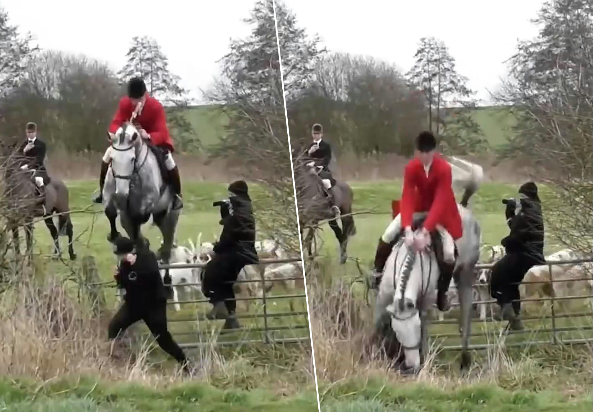 Ruiter vertrappelt dierenactiviste met paard