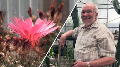 Cactusliefhebber Sjef (82) is een geduldig man