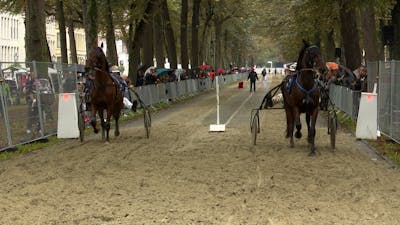 Allerlaatste paardenrace op Utrechtse Maliebaan