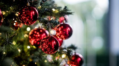 BN’ers vertellen: op deze dag tuigen zij de kerstboom op