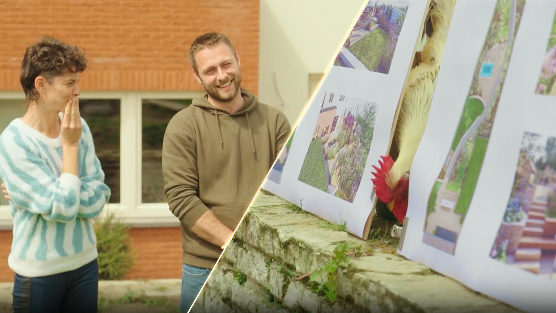 Meningsverschillen En Moeilijke Keuzes