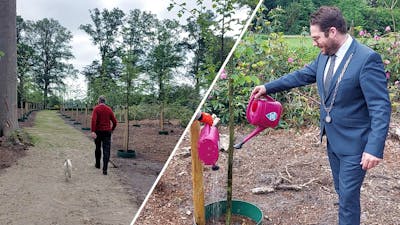 Festivalgangers kunnen boom adopteren in Laren