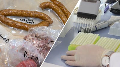 'Horrorfokker' uit Eersel verkoopt bedorven vlees