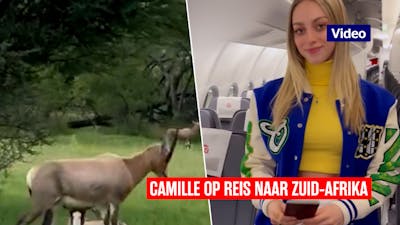Camille reist naar Zuid-Afrika