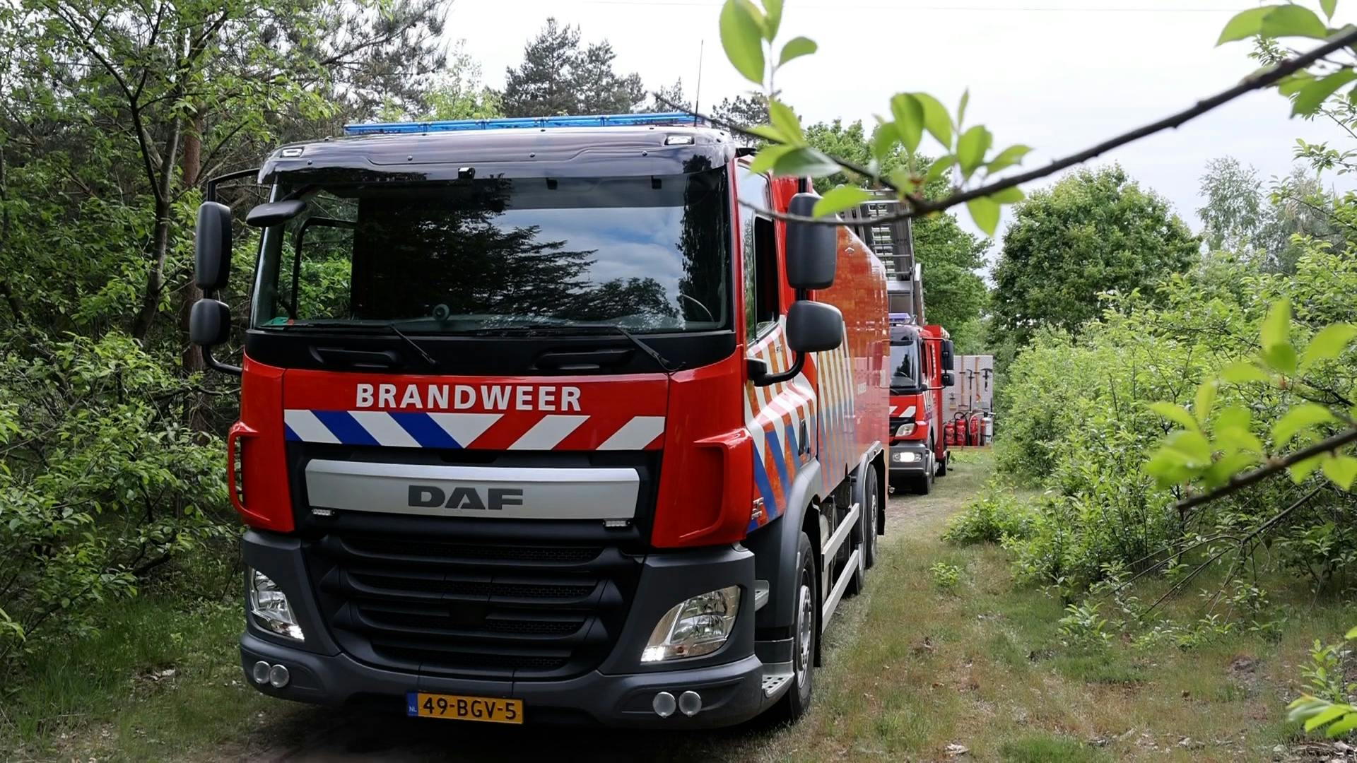 Bosbrand In Berghem, Brandweer Blust Nog Na