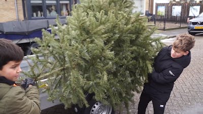 Kinderen zamelen kerstbomen in voor zakcentje in Bunschoten