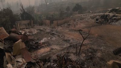 Zo ziet landschap van Chili eruit na dodelijke bosbranden