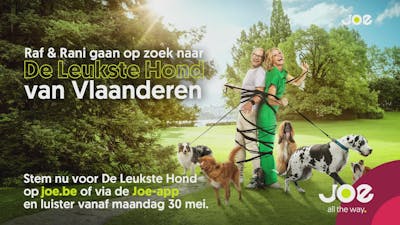 De Leukste Hond Van Vlaanderen - Best Vocal Performance