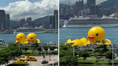 Gigantische gele badeend in Hongkong loopt leeg