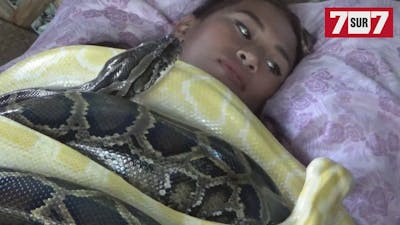 Aux Philippines, une femme se fait masser par des pythons