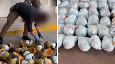 Mexicaanse politie vindt 300 kilo fentanyl in kokosnoten