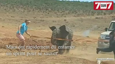 Un éléphanteau s'attaque à ses sauveteurs