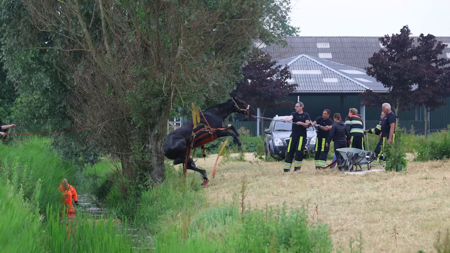 Brandweer Redt Met Hijskraan Uitgeput Paard Uit Friese Sloot