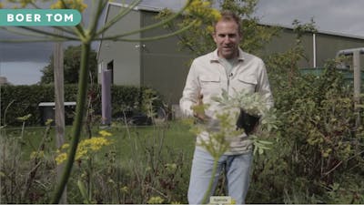 Vooruitplannen met boer Tom: 5x planten voor droge zomers
