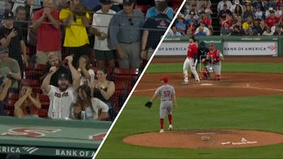 Honkbalknuppel vliegt door stadion in VS en belandt bij fan