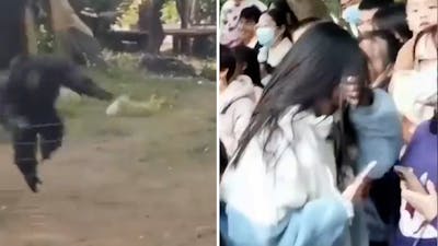 Aap gooit flesje en verwondt filmend meisje in China