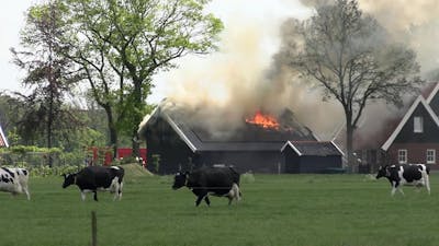 Grote uitslaande brand op boerenerf in Glane