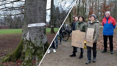 Tientallen protesteren tegen bomenkap in Nijmeegs park