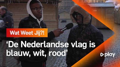 Hoe ziet de Nederlandse vlag eruit volgens Belgen?
