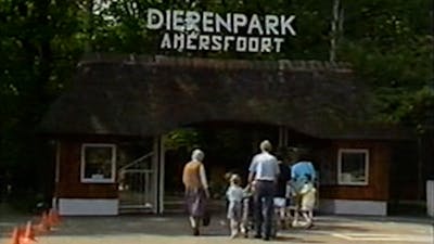 Tijd voor een feestje: DierenPark Amersfoort bestaat 75 jaar