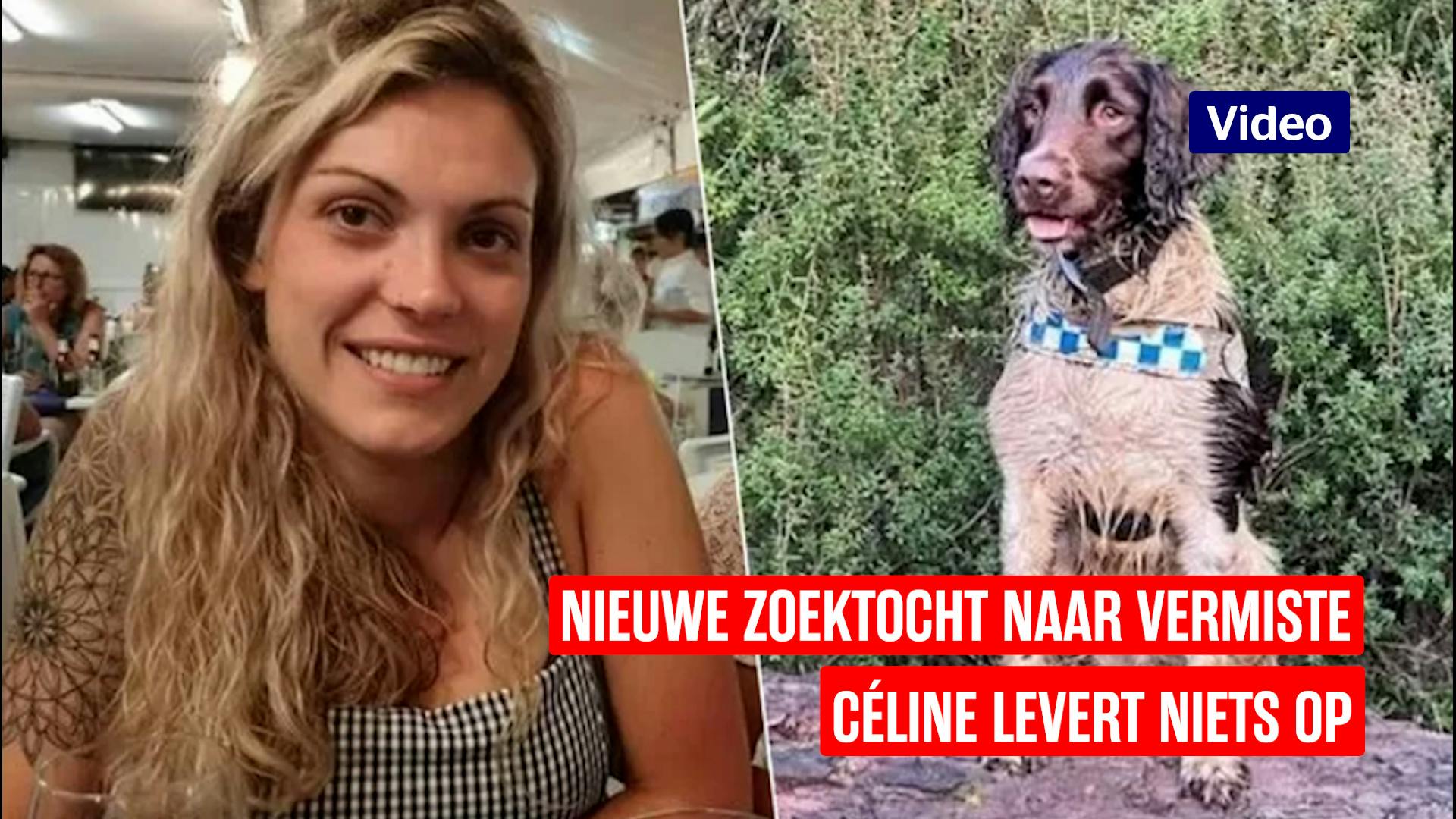 Nieuwe Zoektocht Naar Vermiste Céline Levert Niets Op