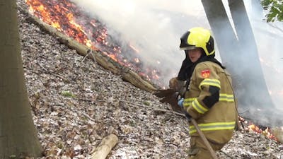 18-jarige aangehouden voor mogelijk aansteken bosbrand