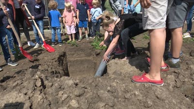 Basisschool leerlingen begraven tijdcapsule