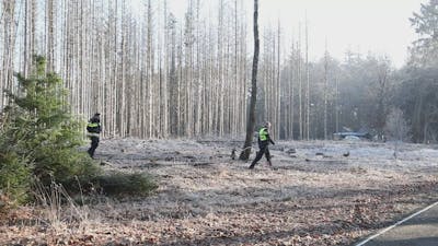 Boswachter vindt lichaam in bos bij Ede