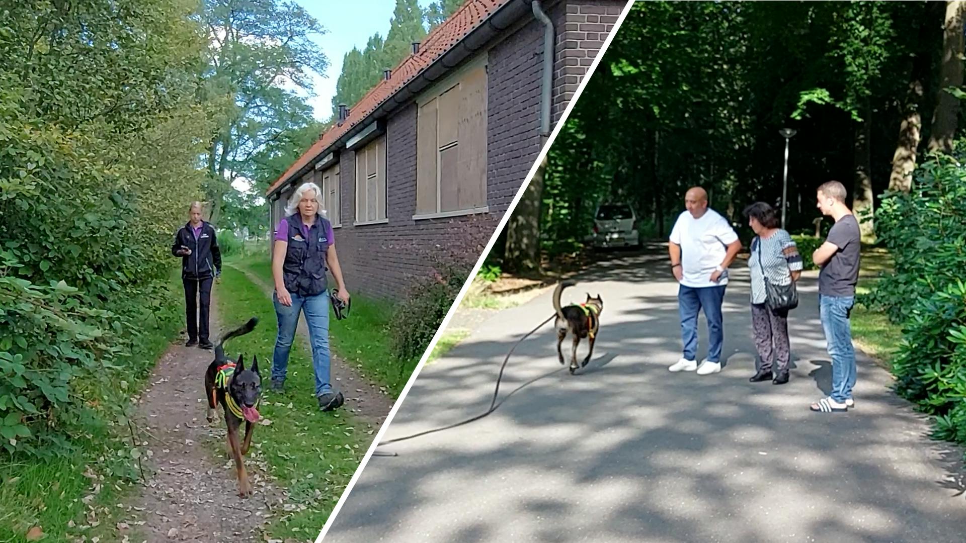 Zoektocht Naar Vermiste Samed Gaat Door, Nu Met Speurhonden