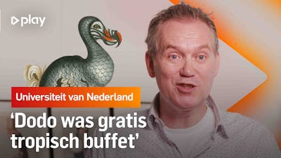 Hoe hebben de Nederlanders de dodo laten uitsterven?
