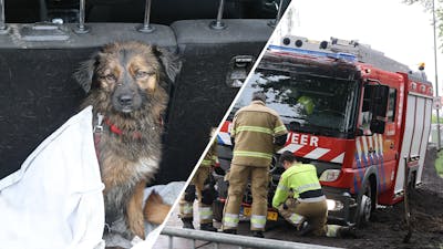 Brandweerwagen rijdt zich vast op weg naar verdrinkende hond
