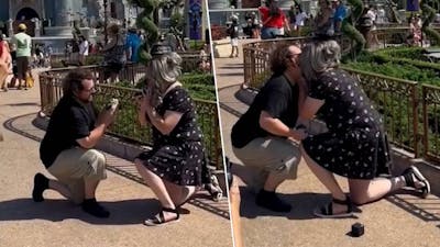Un couple fait sa demande en mariage à Disney World