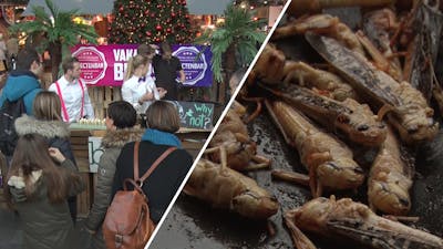 Insecten proeven in de Markthal: 'Ze smaken als noten'