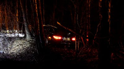 Auto belandt in bosjes bij Enschede, bestuurder op de vlucht