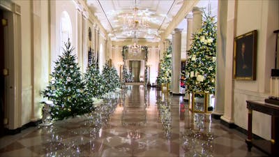 Witte Huis onthult kerstversiering inclusief 77 kerstbomen