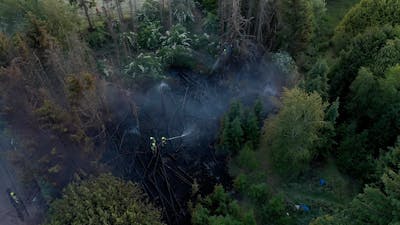 Brand in stuk bos in Tilburg