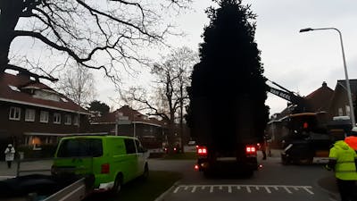 Grote verhuizing in Zwolle: de kerstboom naar de Grote Markt