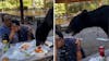 Vrouw houdt het hoofd koel als beer maaltijd opeet in Mexico