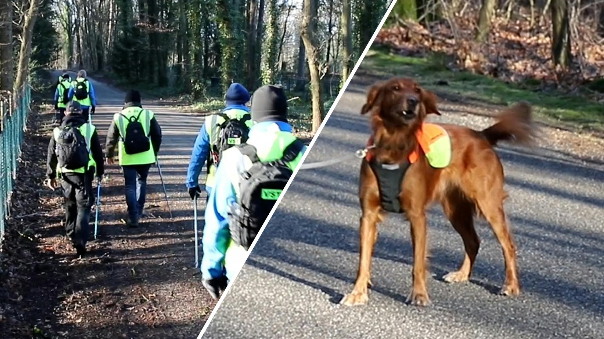 Lichaam Gevonden In Zoektocht Naar Vermiste Man Beekbergen