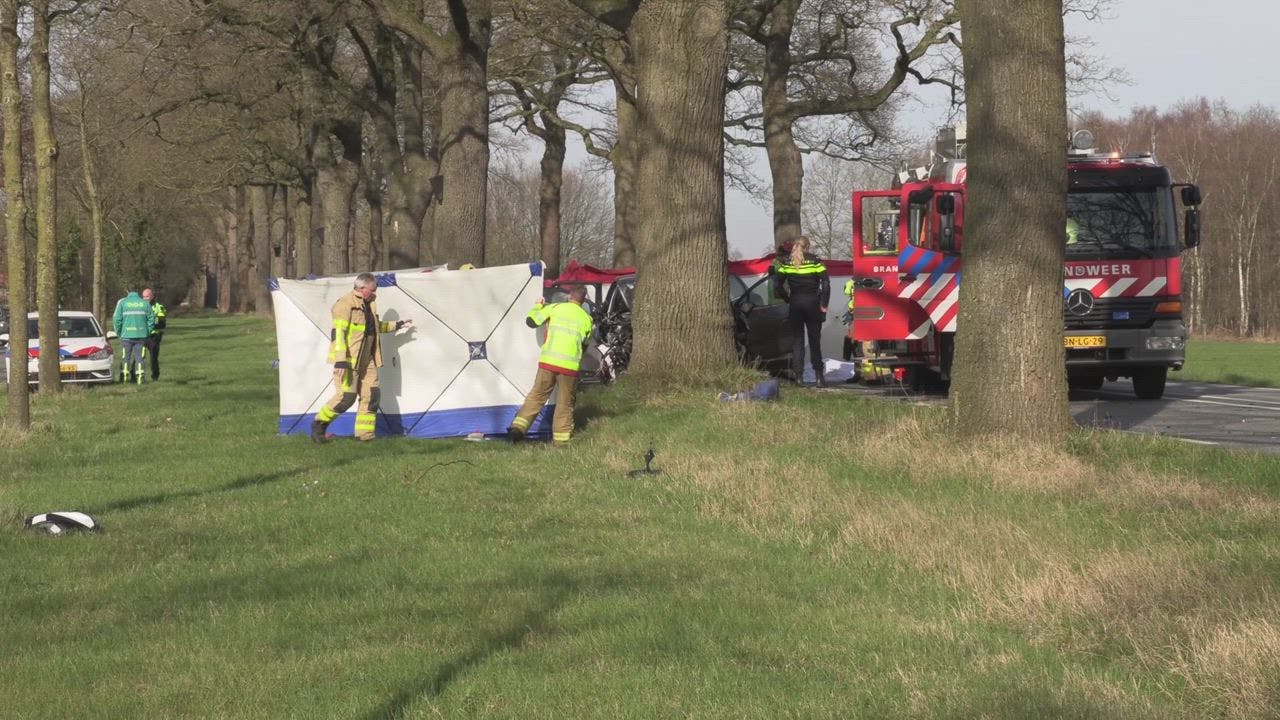 Automobilist Overleden Bij Botsing Met Boom In Ruurlo